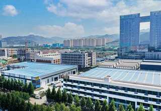 淳安县绿化植物出租