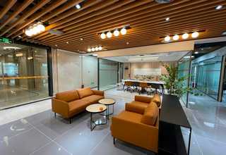 购买机器人装箱机码垛机定做价格